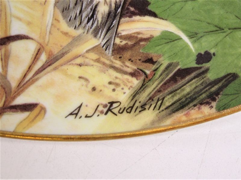 7 Mooie borden Limoges Porcelain - A.J. Rudisill